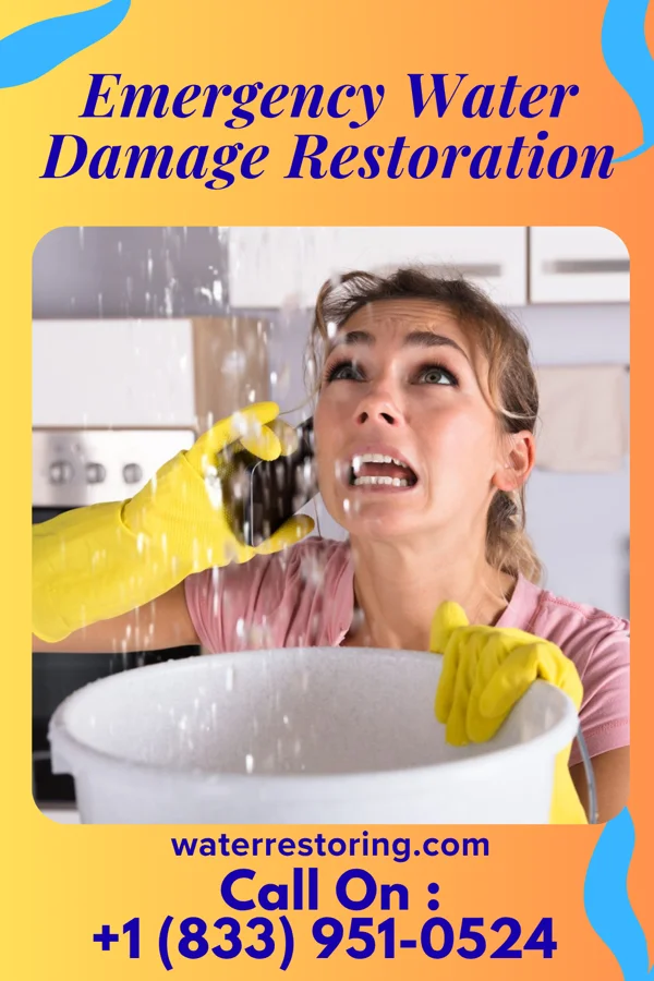 Emergency Water Damage Restoration in Crestwood, IL