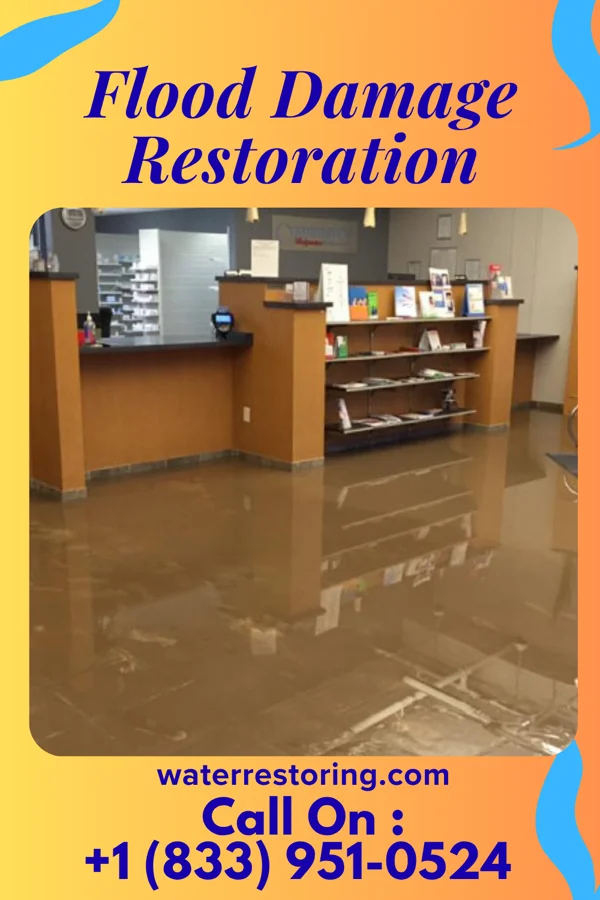 Flood Damage Restoration in Crestwood, IL
