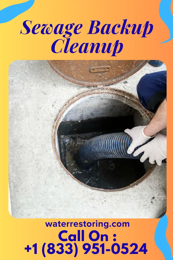 Sewage Backup Cleanup in Crestwood, IL